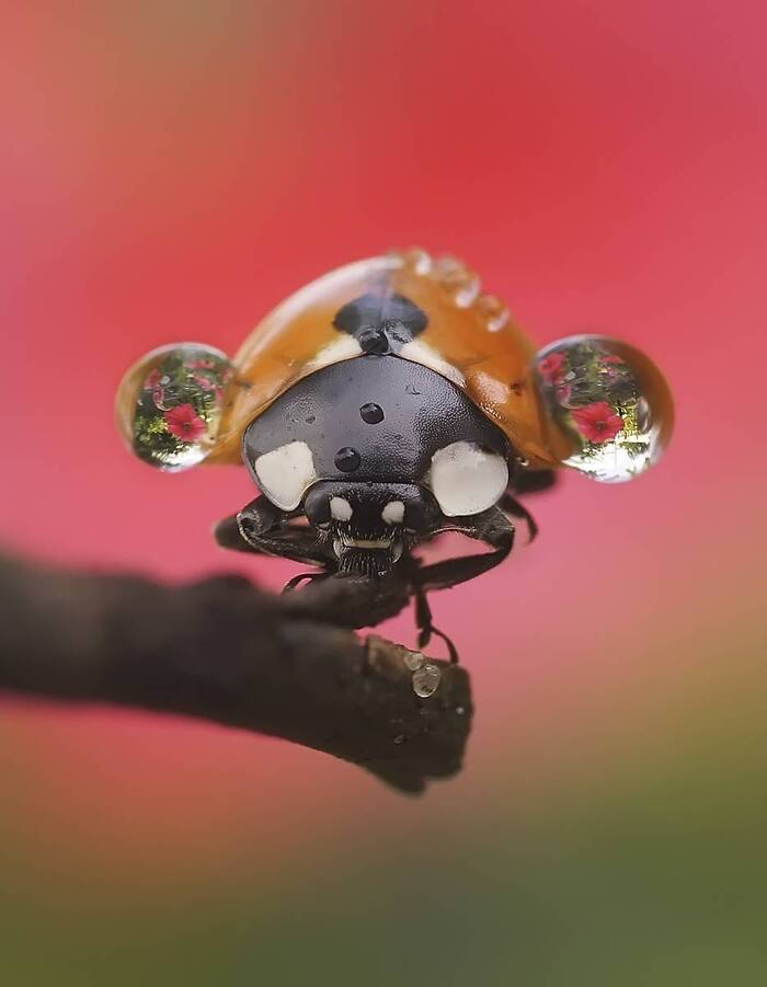 �������� ������