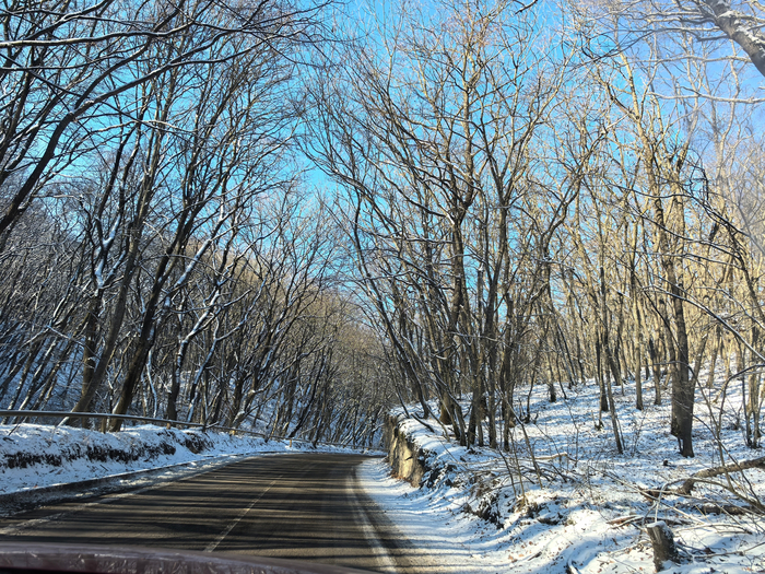 ��� �� �� ��������. ���� �� ������.