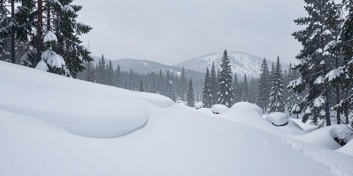 ����� �������, �������� ����: ��� ��������� � ��������� � ��������� �����?