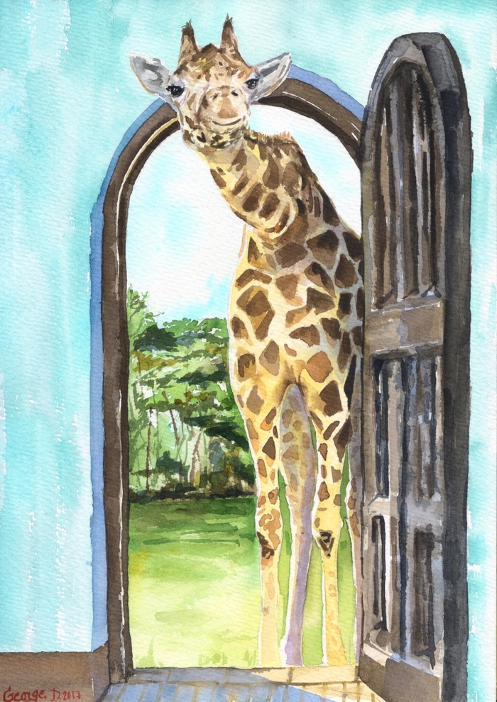 ���-���, ���� ��� ����?)) �������� 2017�