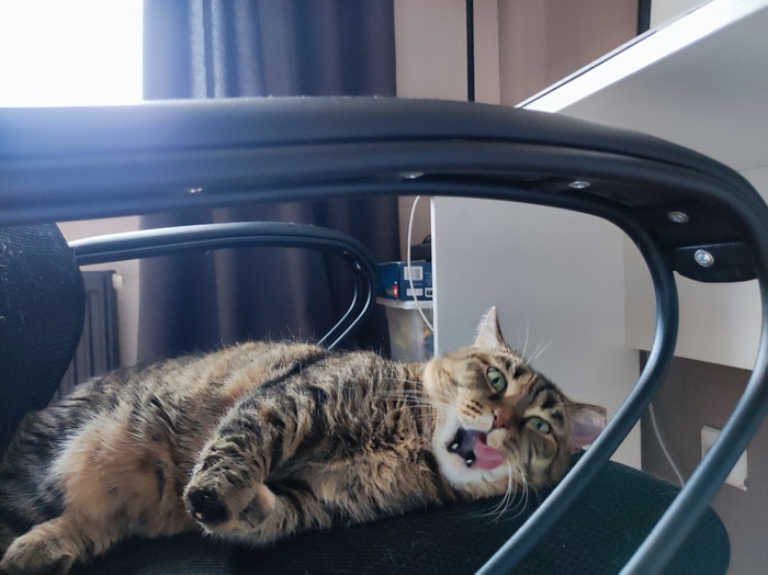 � ���� ����������������