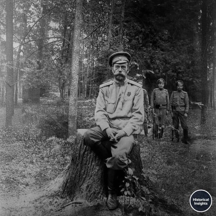 109 ��� �����,