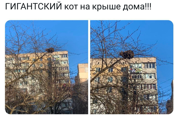 �������� �� ������� ������