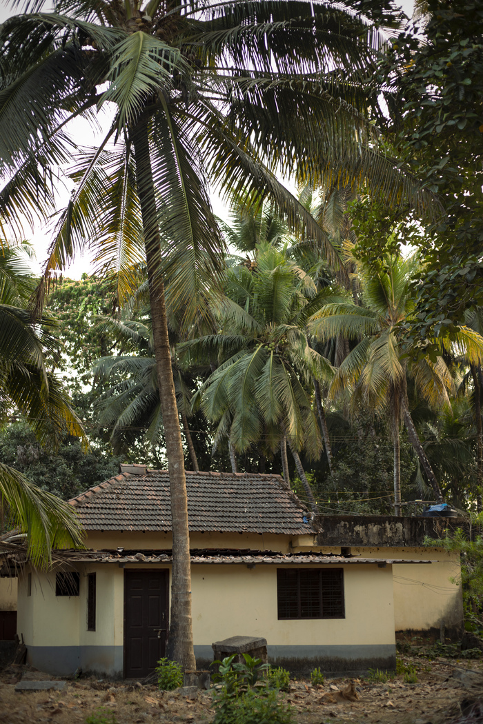 � ��������� ����� �������� ������ �������� �� �����. ���� ������� ����� ����� ��������� ������ � ����� �� ����� ������ � ����� (�������). 