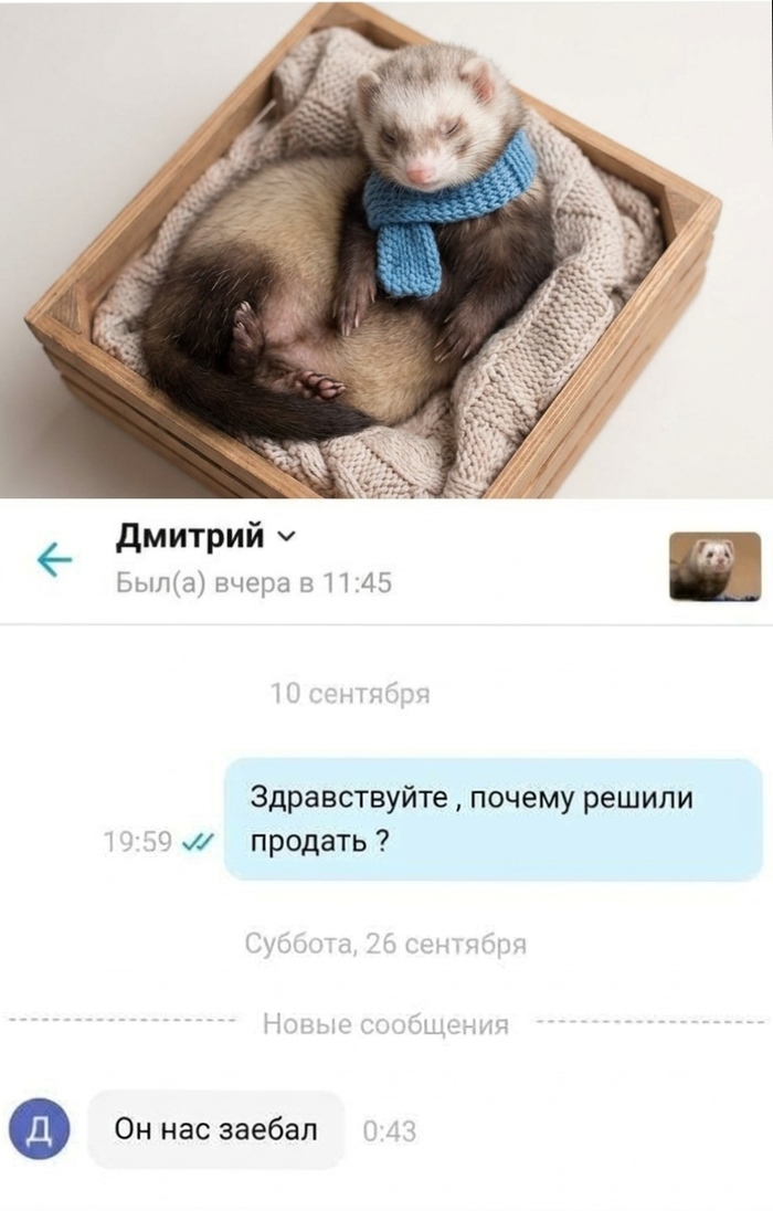 � ����� ����
