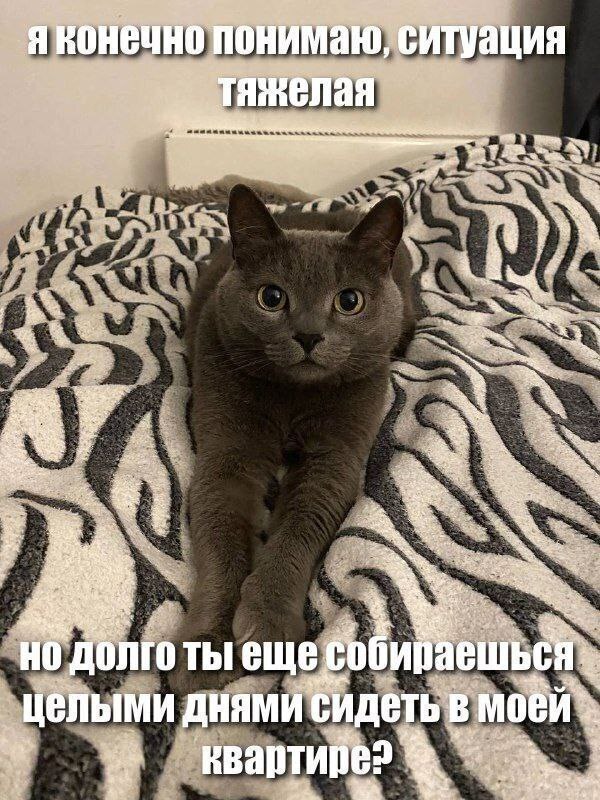 � ��������