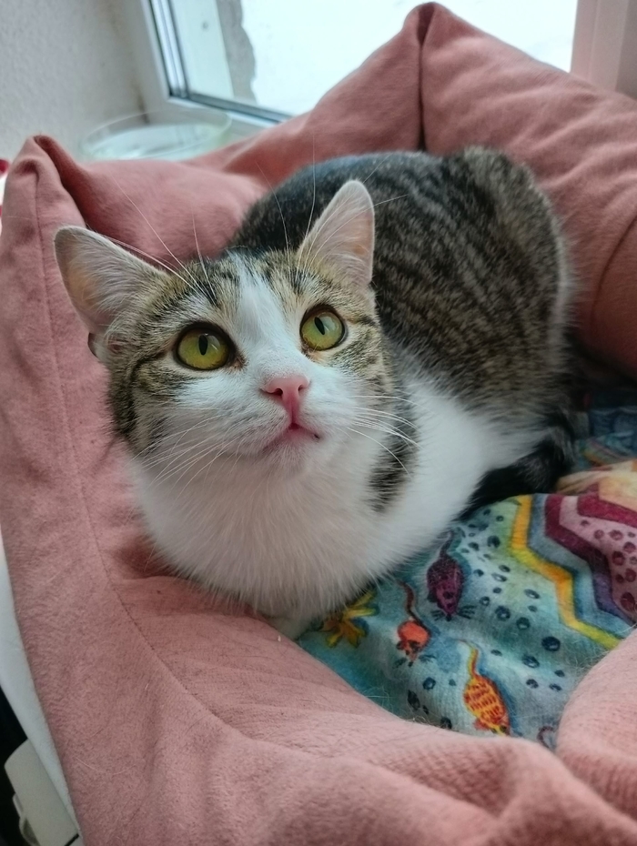 ��������� �������! ���� �� ���! �����-���������