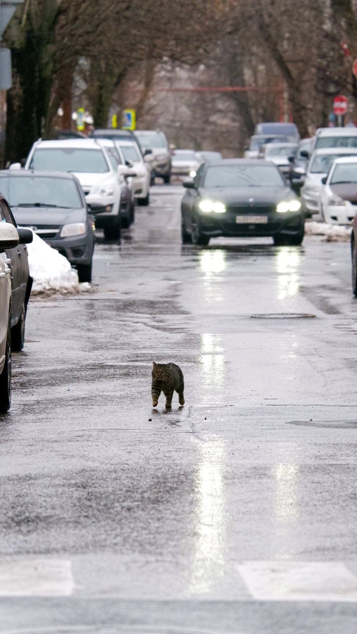 ������� �������