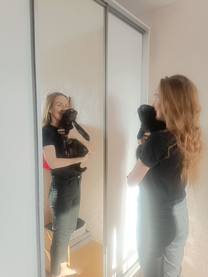 ���� � ���������