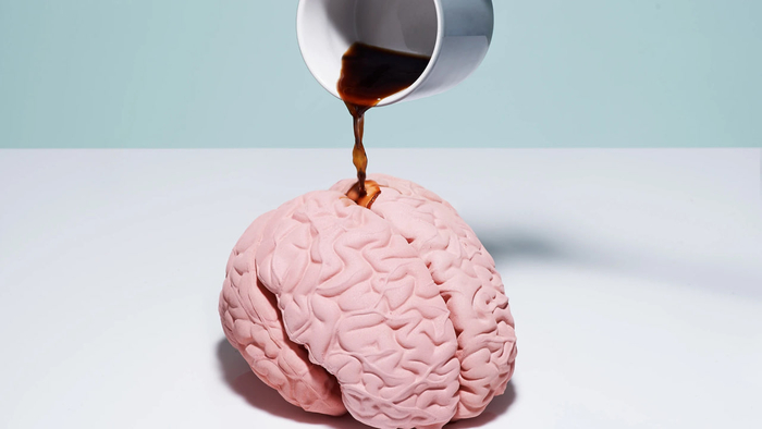 ��� ���� ������ �� ����: ������ ������������