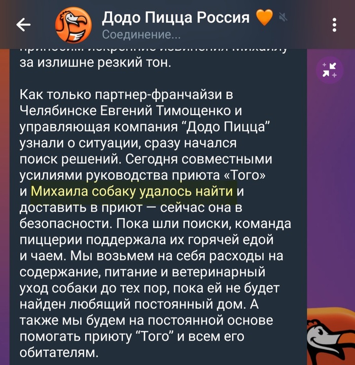 Додо пассивно-аггресивный: "Михаила собаку удалось найти"