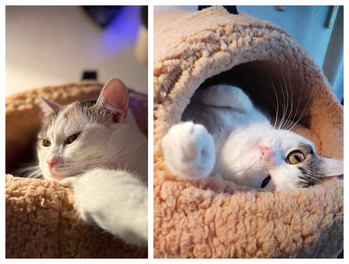 � ���� ������ �������