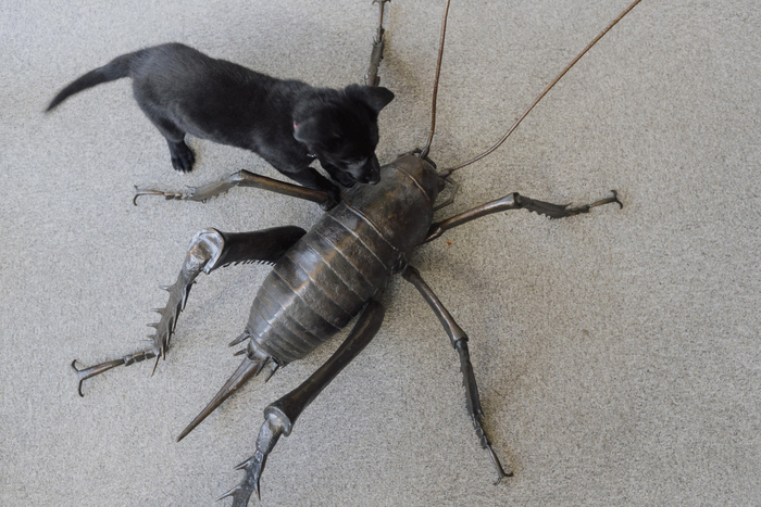 ������������ ����� ����� ����� ��������� ����������. ���������� �������, 3� ������ � ���� �������� ������� � ����� ����� � ��� �������.