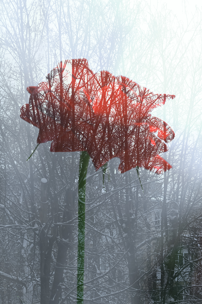 � �� ����� � ��� ����� ���� :(