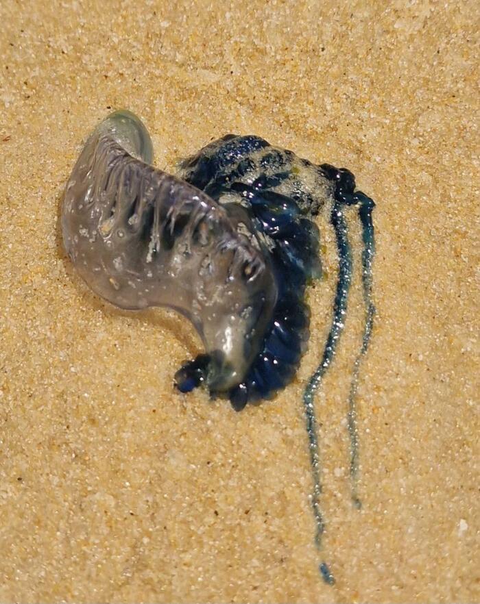 � �������� �� ����� ����� ������� ������������� ��������. ������ ����������