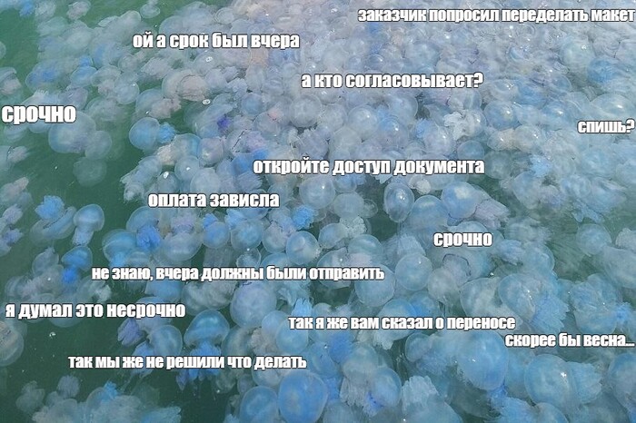 ������ ������������ � ����� � ��� ���� � ��������