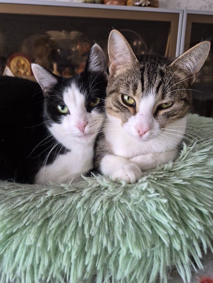 Ляля и Шурик