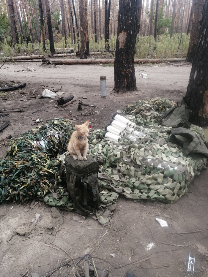 ��� �� �� ������ ������� ��� ����