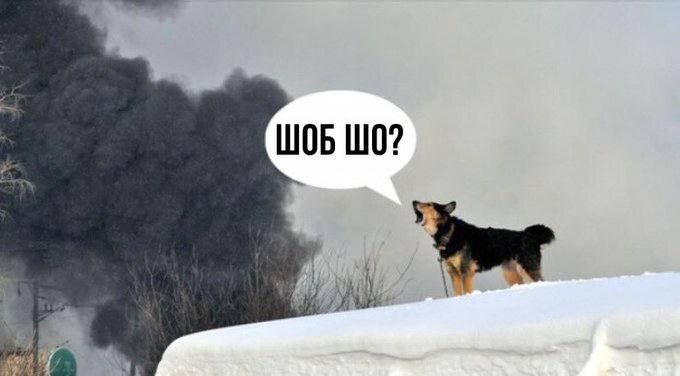 Я стараюсь не причинять пользы, когда не просили, но иногда срываюсь...