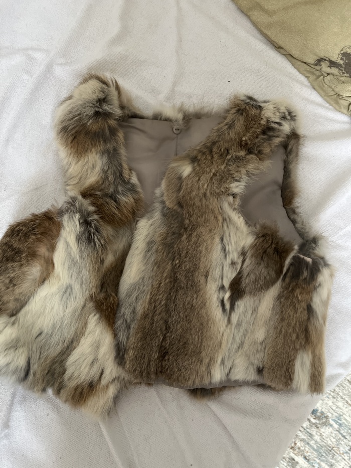 ���� ��������