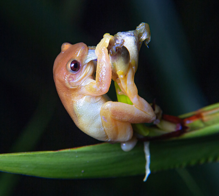 � �������� �� ������� :)