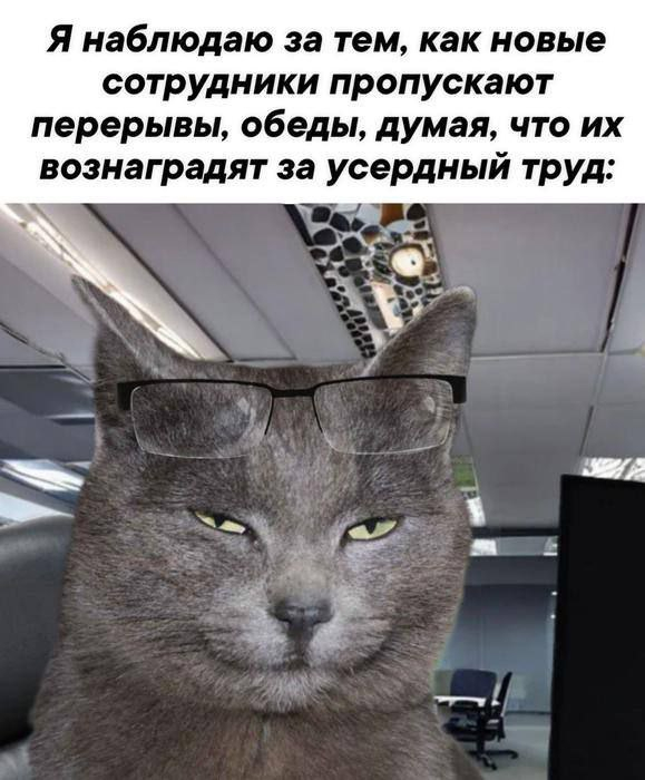 Опытный работник