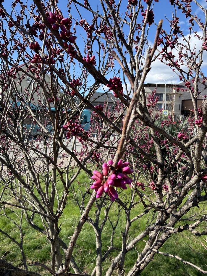 ��������� ��������� �������� ����!