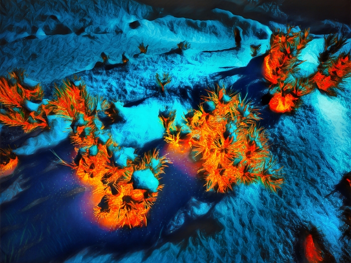 ������������ ������