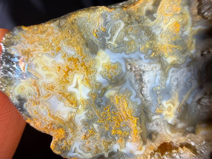 �������� ���