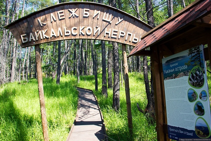 ������� �������. ����: ���� �������� 