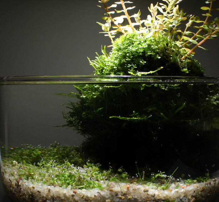 ������ ���� � ���������: ��� ����� ����-���� � ������ ��� ����� �������