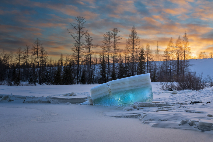 ������� ���� �� ������