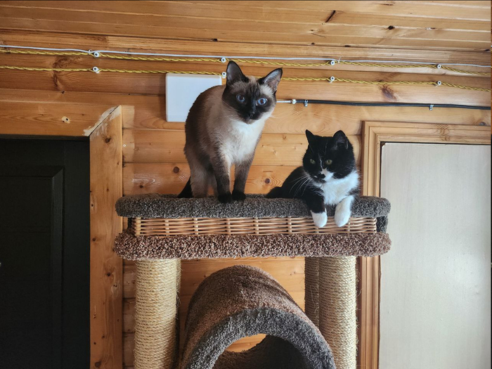 ����� ����� ������, � �� ��������� ��������� �����?