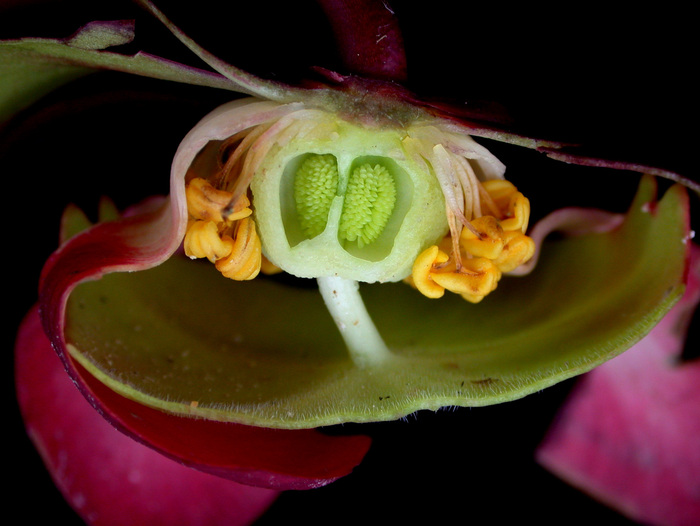 ������ ���������� ��������� � ���������� �������. ���� �. �������.