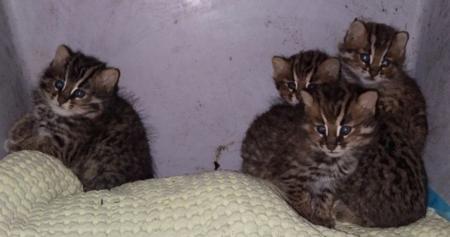 � �������� ������ ��������� ������ ����� ��������� �� ����