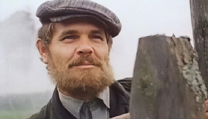 "������ �����"