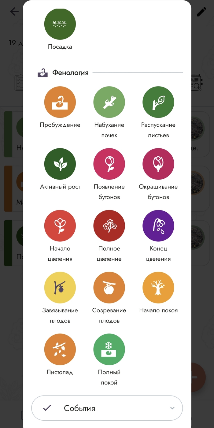 Можно прямо по фенологическому циклу фигачить.