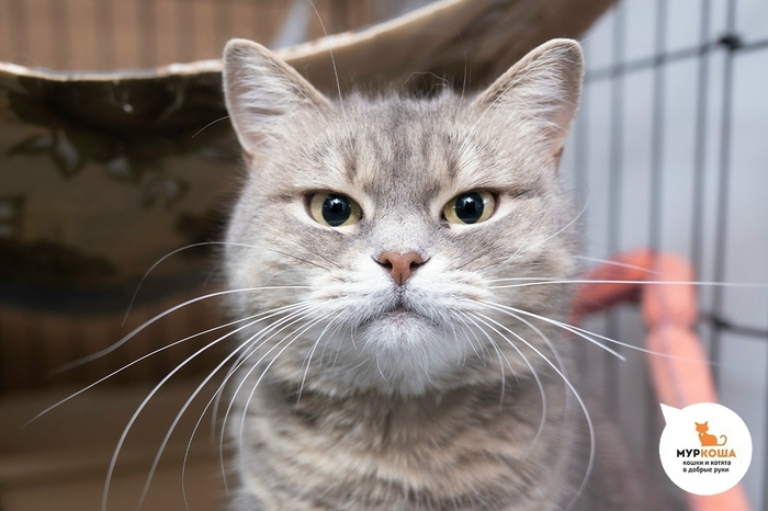 ����� ��������, 5 ���, �������� �� �����.