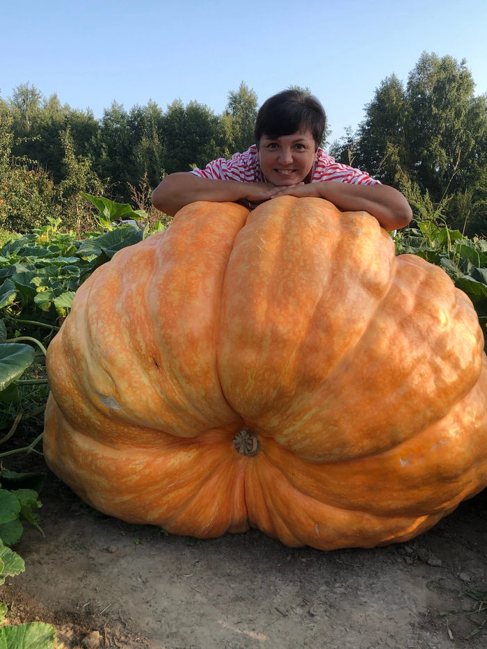 ������ � � ����� 