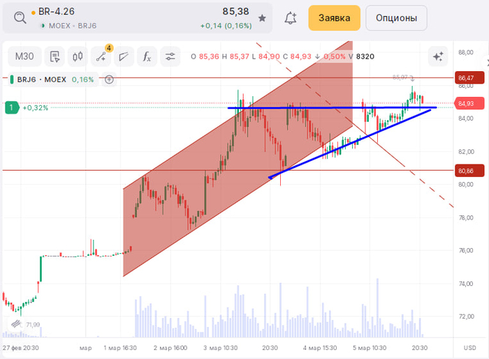 ����� ������ ����� �� ����� �����