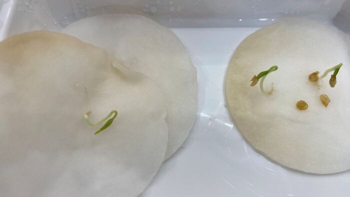 ����� ���� ������ �� ���� , ��� ������