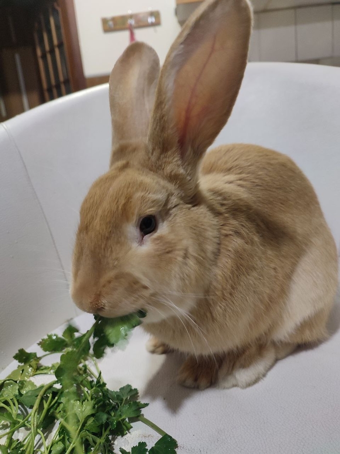 ��� ��� �� ������� ����!