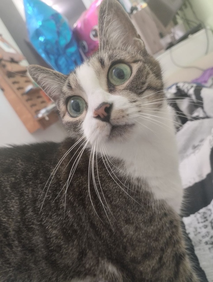 ����, ��� - �� �������� ������ ����� ����������!