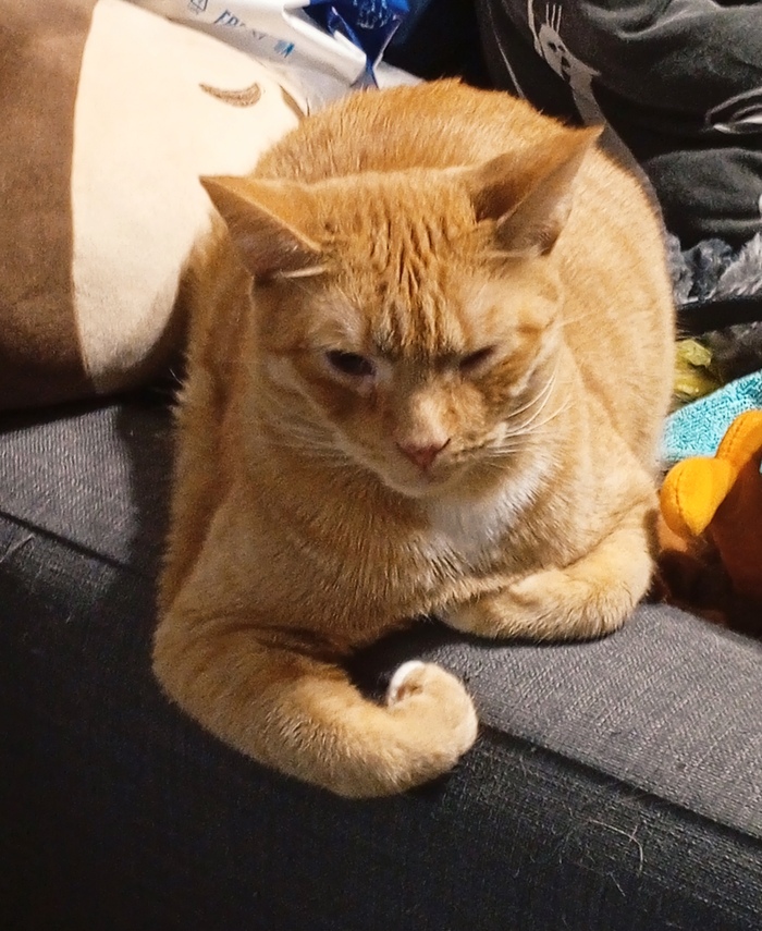 Братуха-борцуха