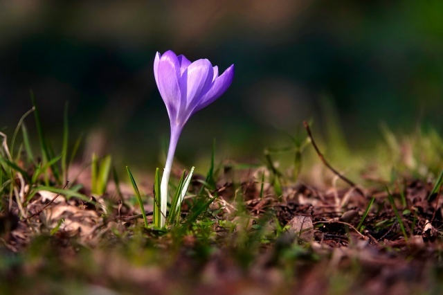 � ��� ������� � ����� ��������.