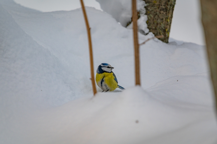 ��������� � ������