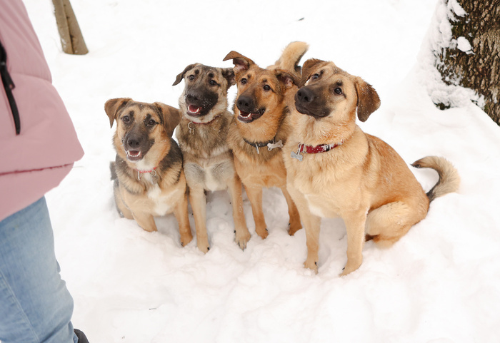 ���� ������?:)