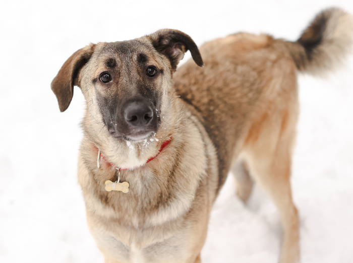 �� �� ������ �� ���������. � ����� ������, ��� ������� � ������� ������...