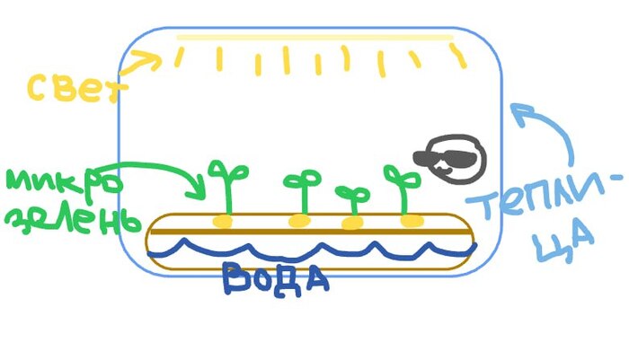 ���-�� ��� � ���� ����� ������ �� ������)