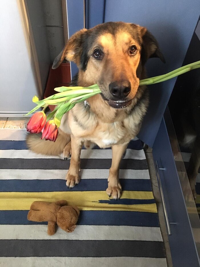 �� ������ ������� -��������� ���������!